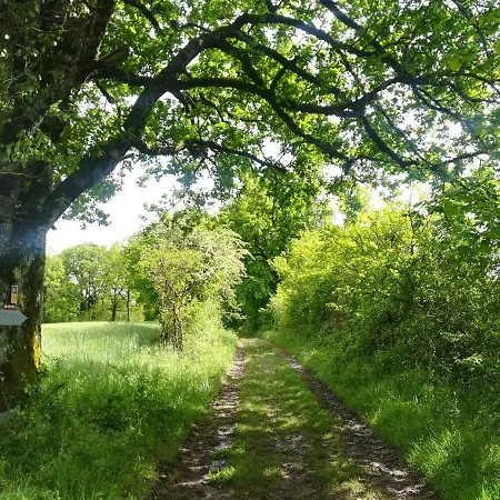 Zajazd La Maison Des Pelerins